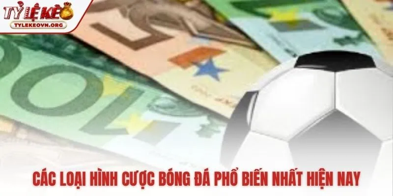 Các loại Tỷ Lệ Kèo phổ biến gồm Kèo Chấp Châu Á 1X2 và Tài Xỉu