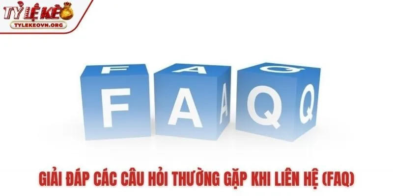 Những câu hỏi phổ biến khi cần liên hệ hỗ trợ về Tỷ Lệ Kèo Những câu hỏi phổ biến khi cần liên hệ hỗ trợ về Tỷ Lệ Kèo
