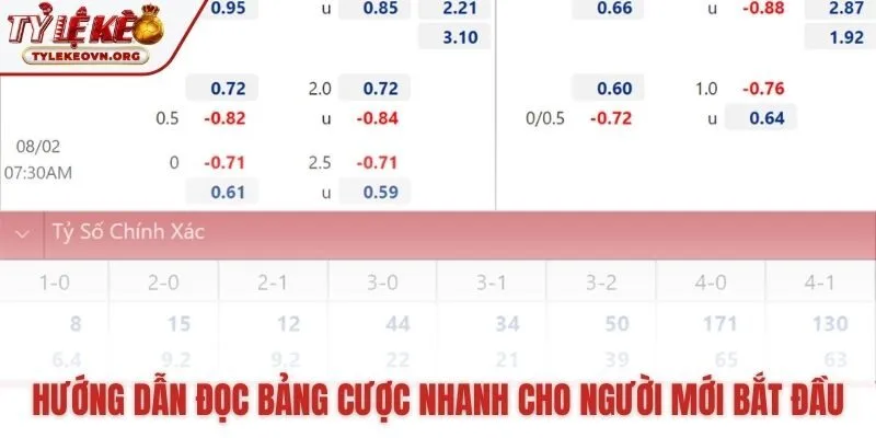 Đọc hiểu ý nghĩa các cột thông tin chính trên bảng Tỷ Lệ Kèo