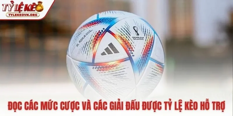 Giải thích các loại cược góc phổ biến cho người mới chơi Tỷ Lệ Kèo