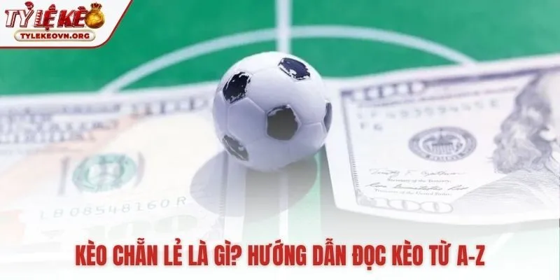 Hiểu kèo chẵn lẻ là gì từ ký hiệu E/O đến tính tiền Hiểu kèo chẵn lẻ là gì từ ký hiệu E/O đến tính tiền