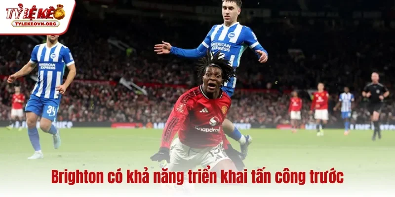 Brighton có khả năng triển khai tấn công trước Brighton có khả năng triển khai tấn công trước