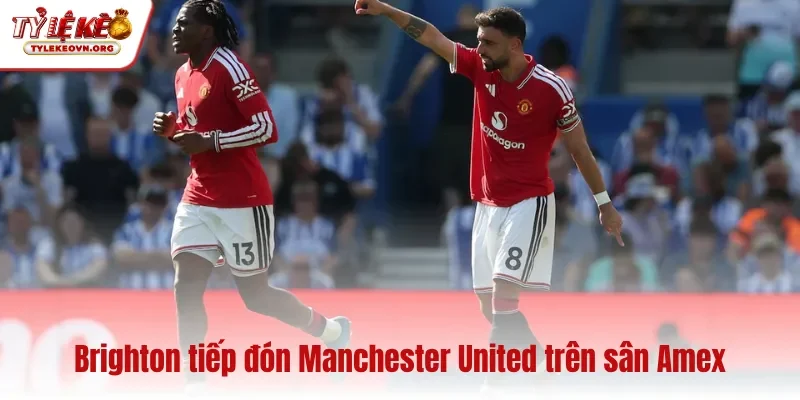 Brighton tiếp đón Manchester United trên sân Amex Brighton tiếp đón Manchester United trên sân Amex