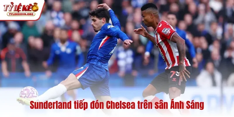 Sunderland tiếp đón Chelsea trên sân Ánh Sáng Sunderland tiếp đón Chelsea trên sân Ánh Sáng
