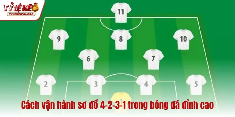 Cách vận hành sơ đồ 4-2-3-1 trong bóng đá đỉnh cao