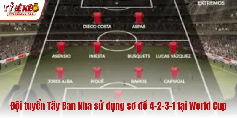 Đội tuyển Tây Ban Nha sử dụng sơ đồ 4-2-3-1 tại World Cup