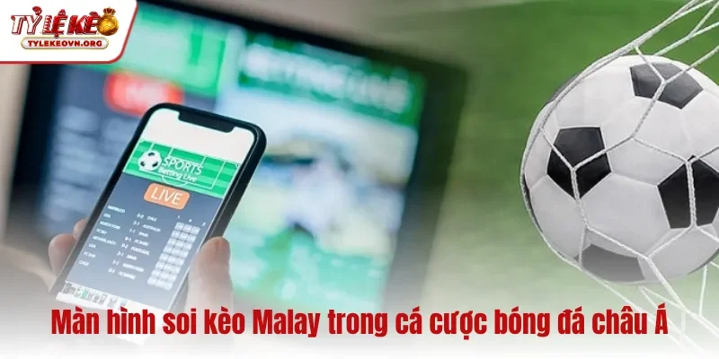 Màn hình soi kèo Malay trong cá cược bóng đá châu Á