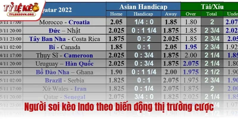 Người soi kèo Indo theo biến động thị trường cược