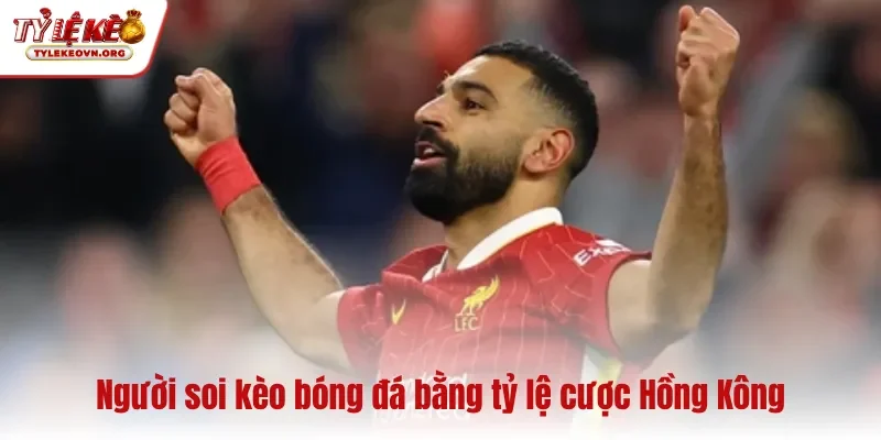 Người theo dõi biến động kèo Malay trên nhà cái bóng đá