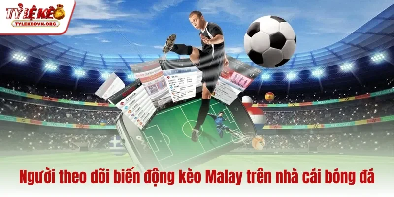 Người theo dõi biến động kèo Malay trên nhà cái bóng đá