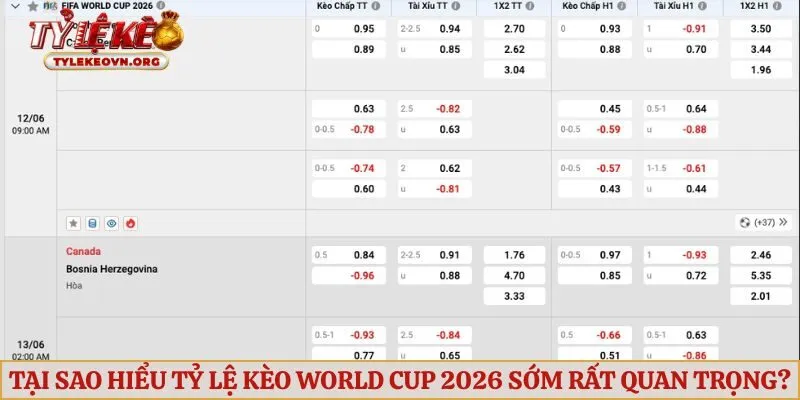 Tại sao hiểu tỷ lệ kèo World Cup 2026 sớm rất quan trọng?