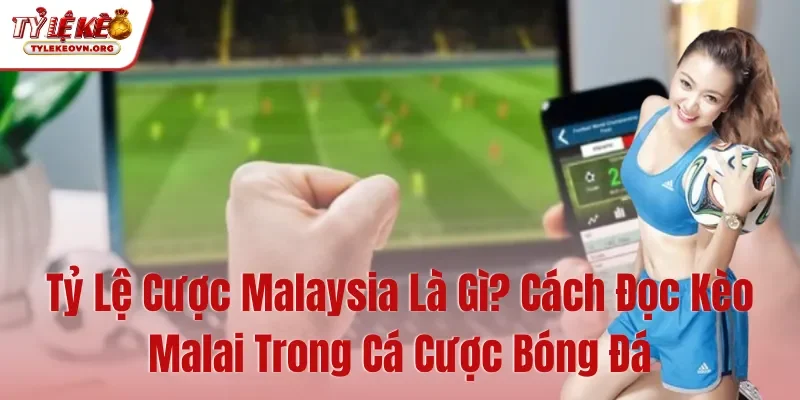 Tỷ Lệ Cược Malaysia Là Gì Cách Đọc Kèo Malai Trong Cá Cược Bóng Đá