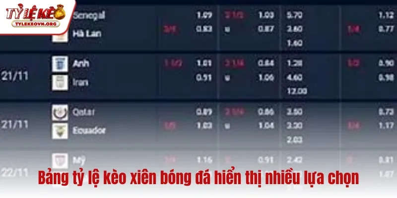 Bảng tỷ lệ kèo xiên bóng đá hiển thị nhiều lựa chọn