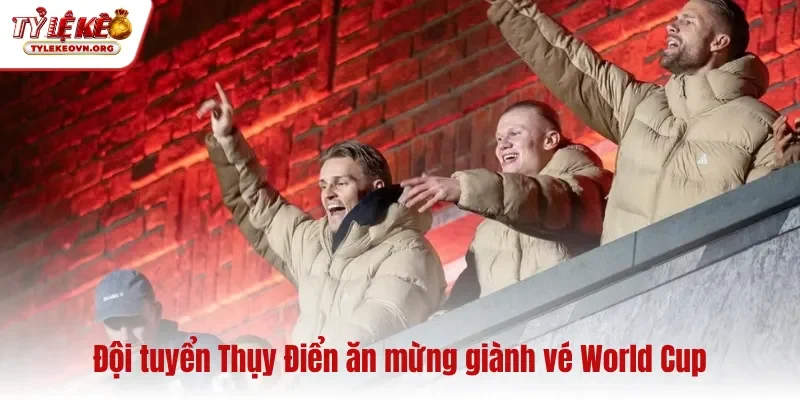 Đội tuyển Thụy Điển ăn mừng giành vé World Cup