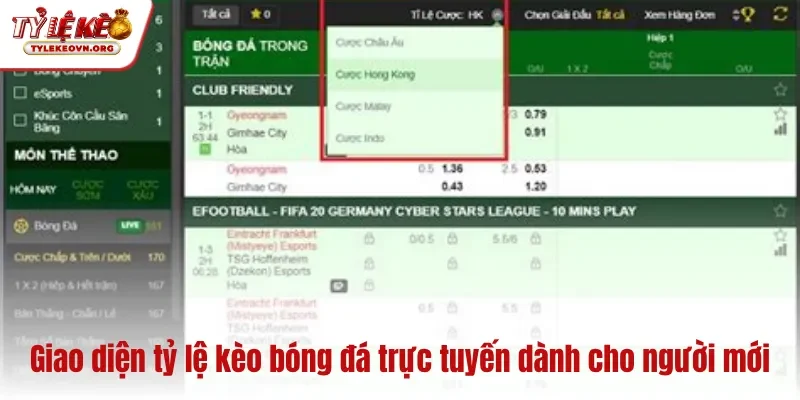 Giao diện tỷ lệ kèo bóng đá trực tuyến dành cho người mới