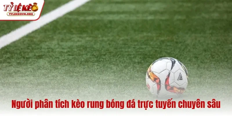 Người phân tích kèo rung bóng đá trực tuyến chuyên sâu