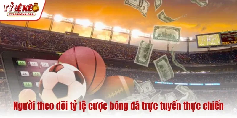 Người theo dõi tỷ lệ cược bóng đá trực tuyến thực chiến